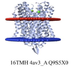 Systemic HER3 ligand-mimicking nanobioparticles
